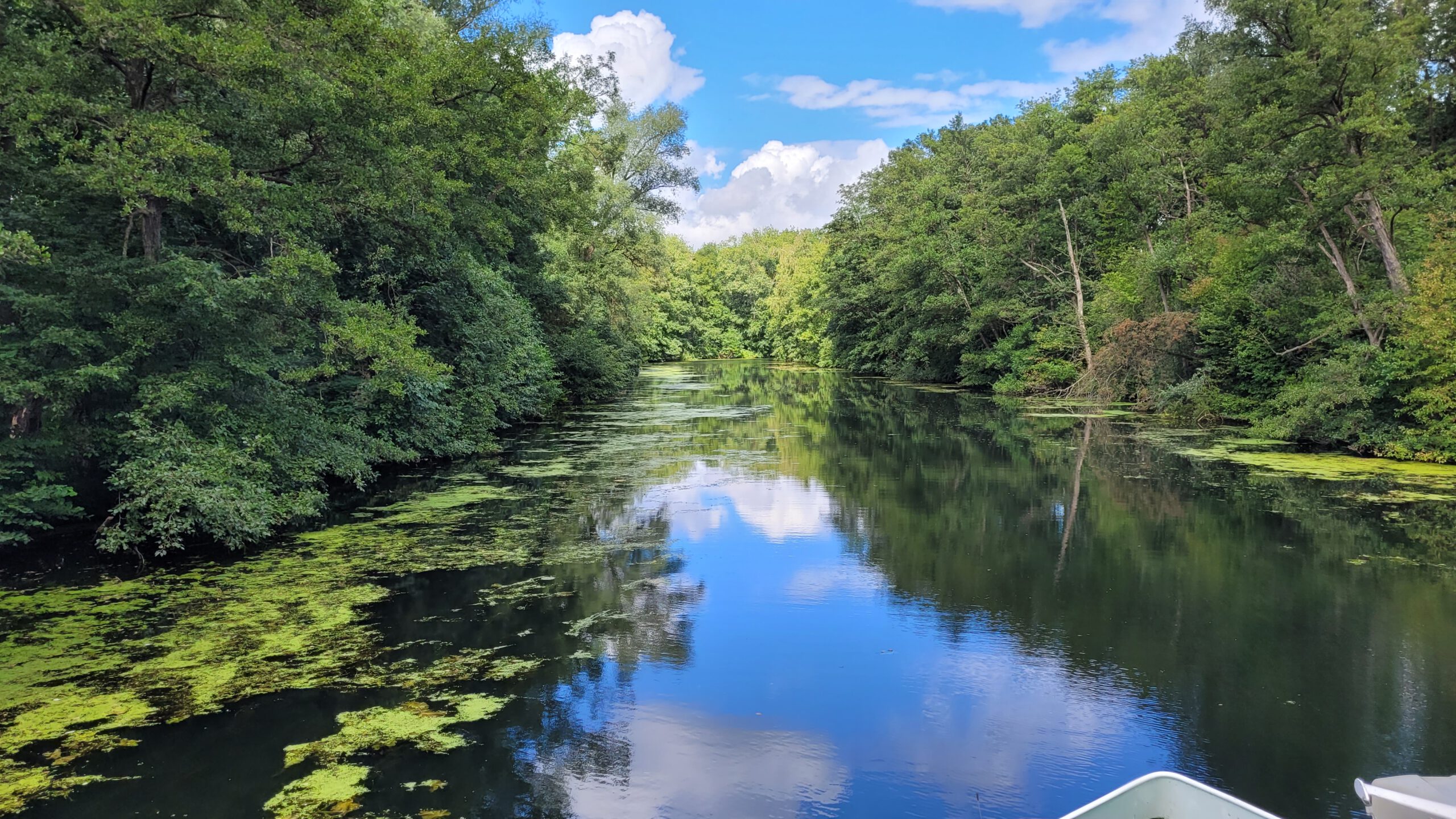 Ausflug mit dem Floß auf der Wakenitz